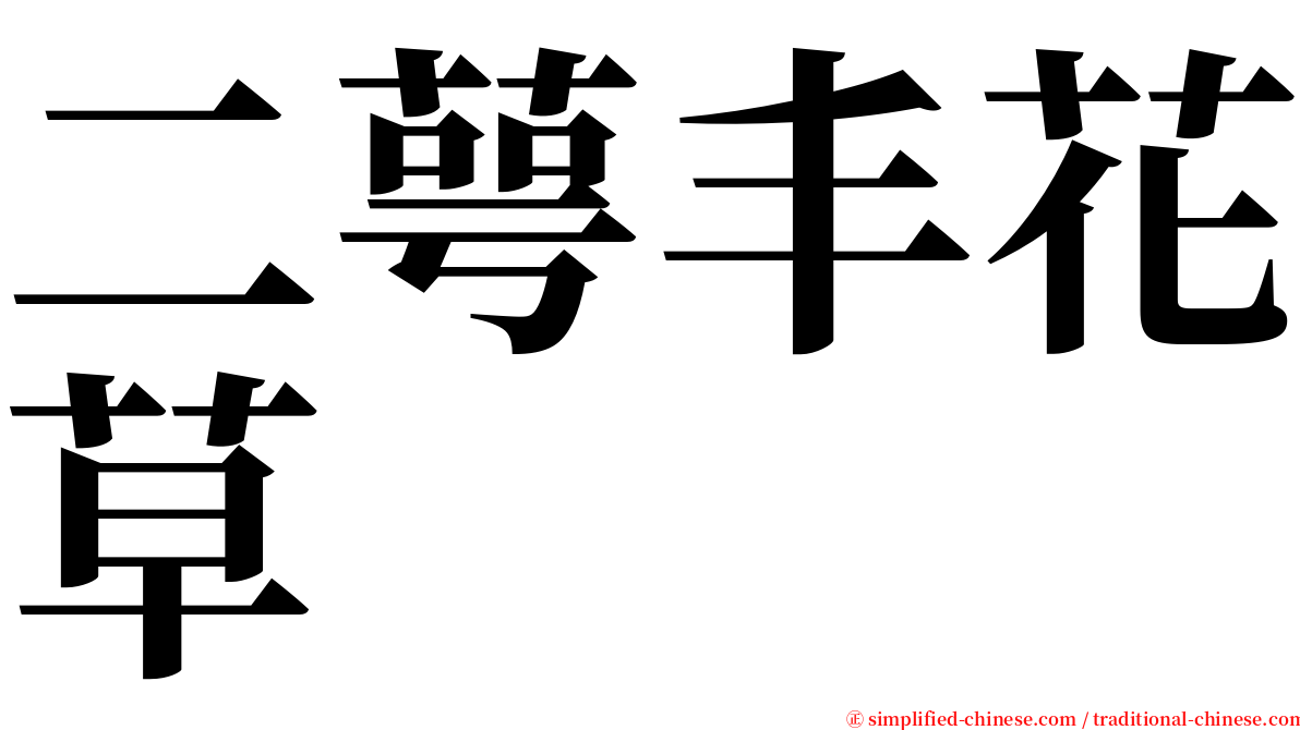 二萼丰花草 serif font