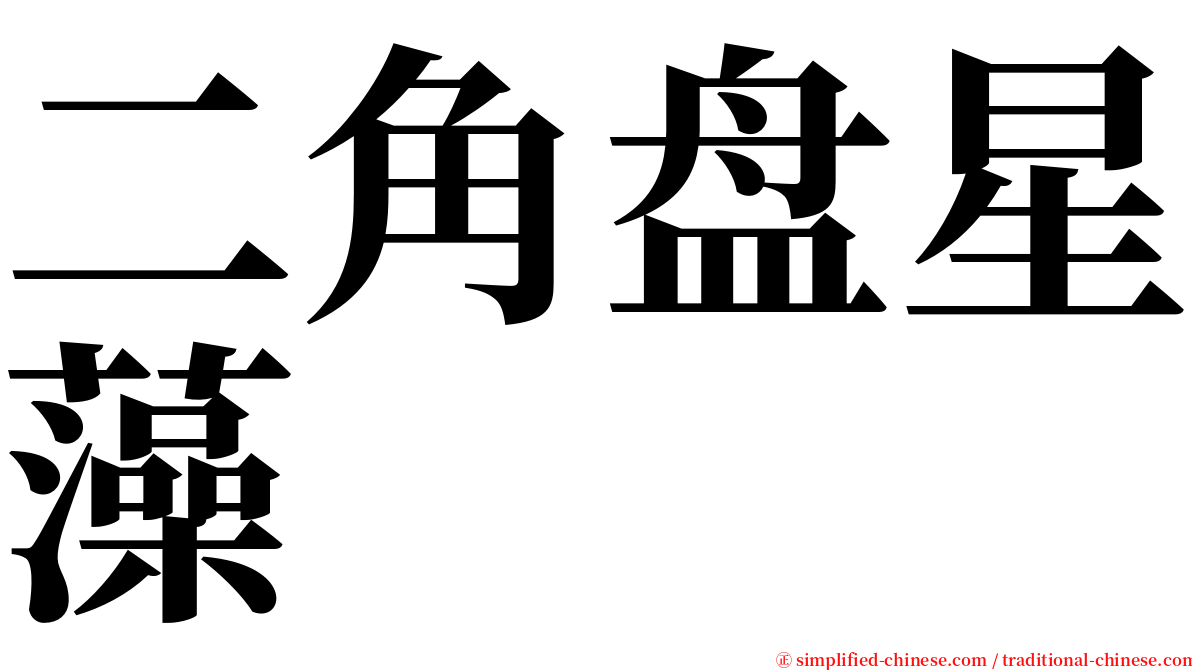 二角盘星藻 serif font