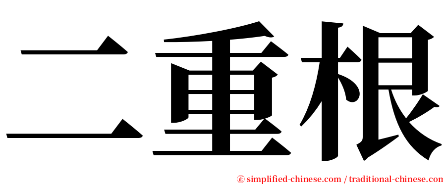 二重根 serif font