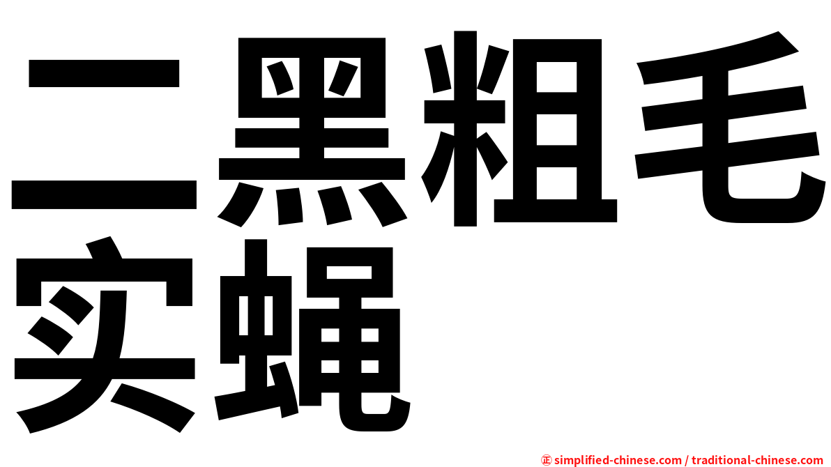二黑粗毛实蝇