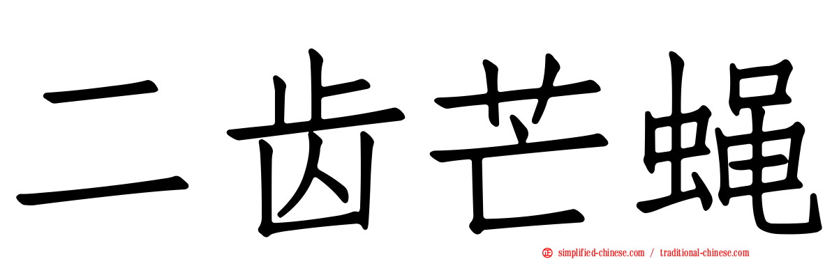 二齿芒蝇