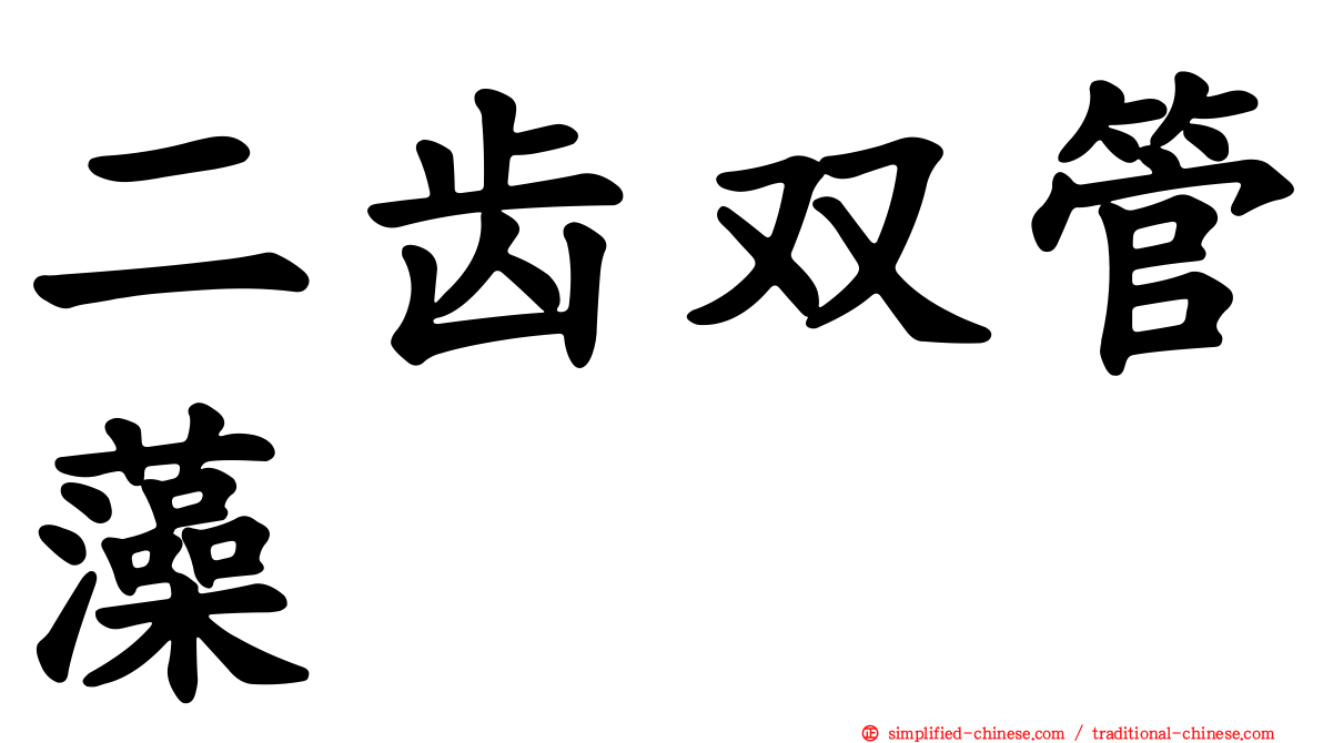 二齿双管藻