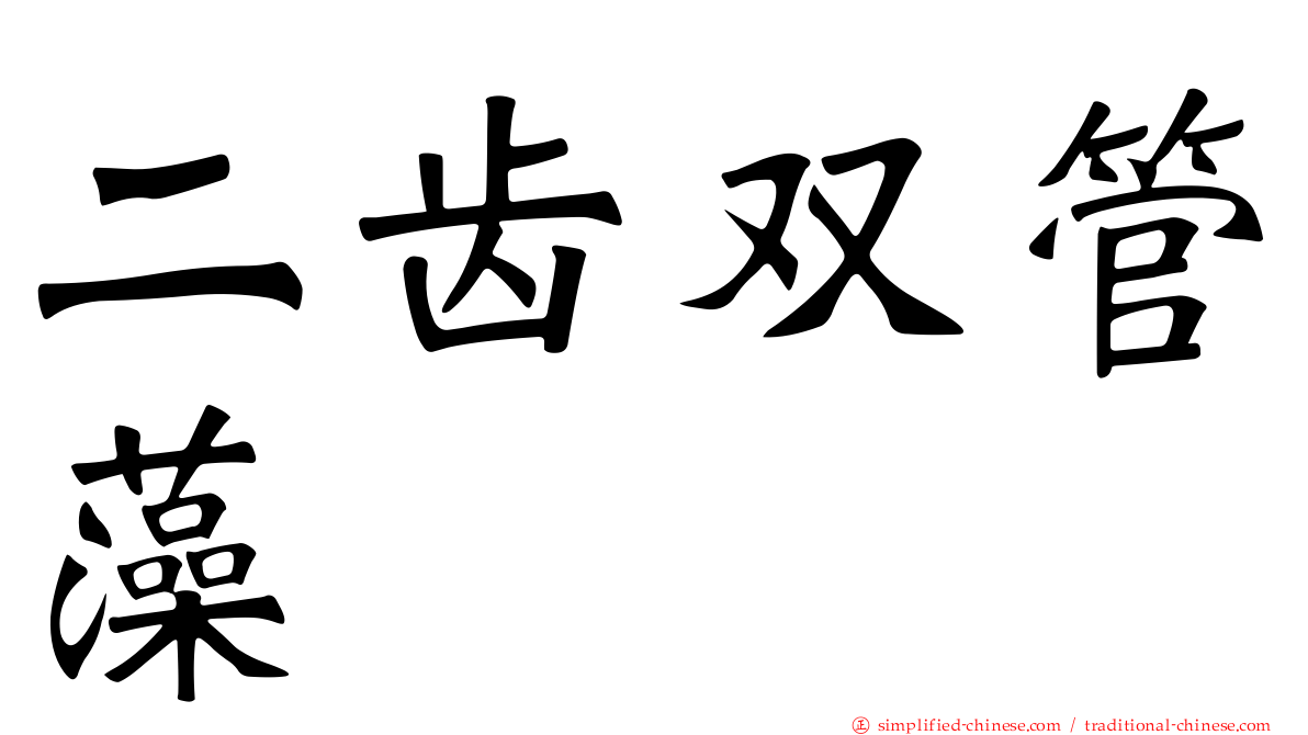 二齿双管藻