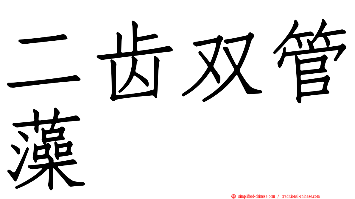 二齿双管藻