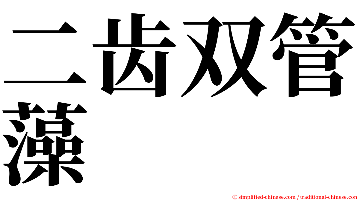 二齿双管藻 serif font