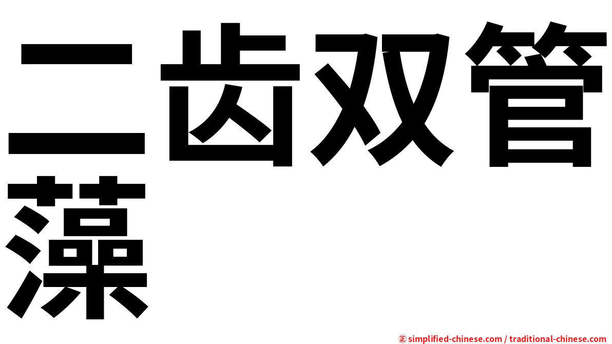 二齿双管藻