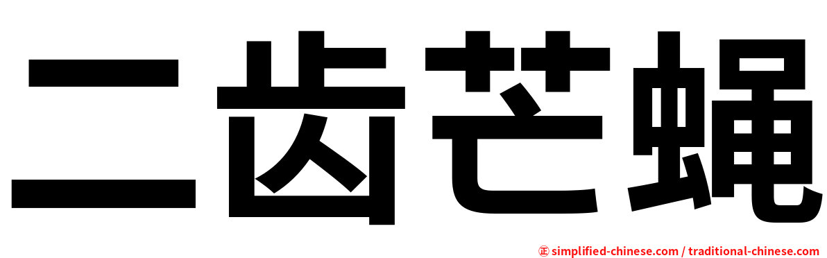 二齿芒蝇