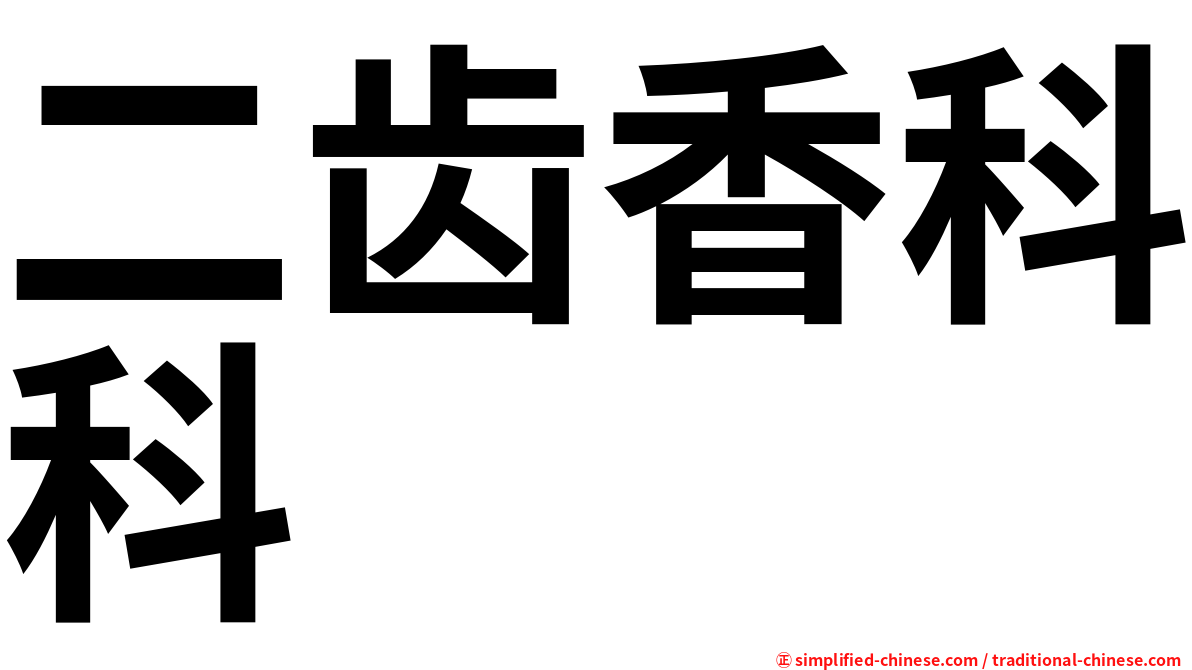 二齿香科科