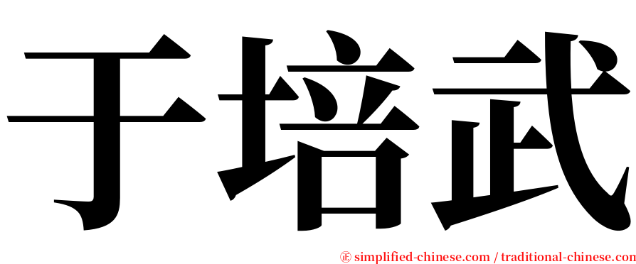 于培武 serif font
