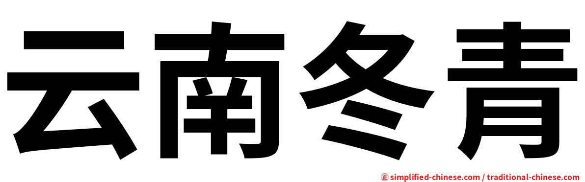 云南冬青