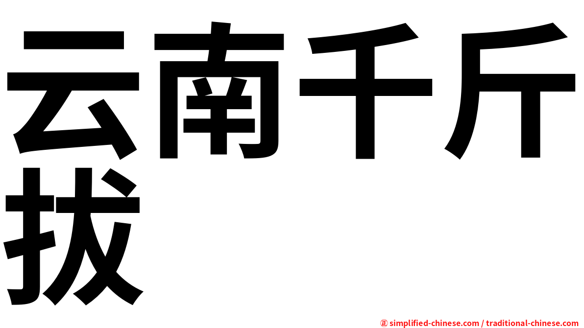 云南千斤拔