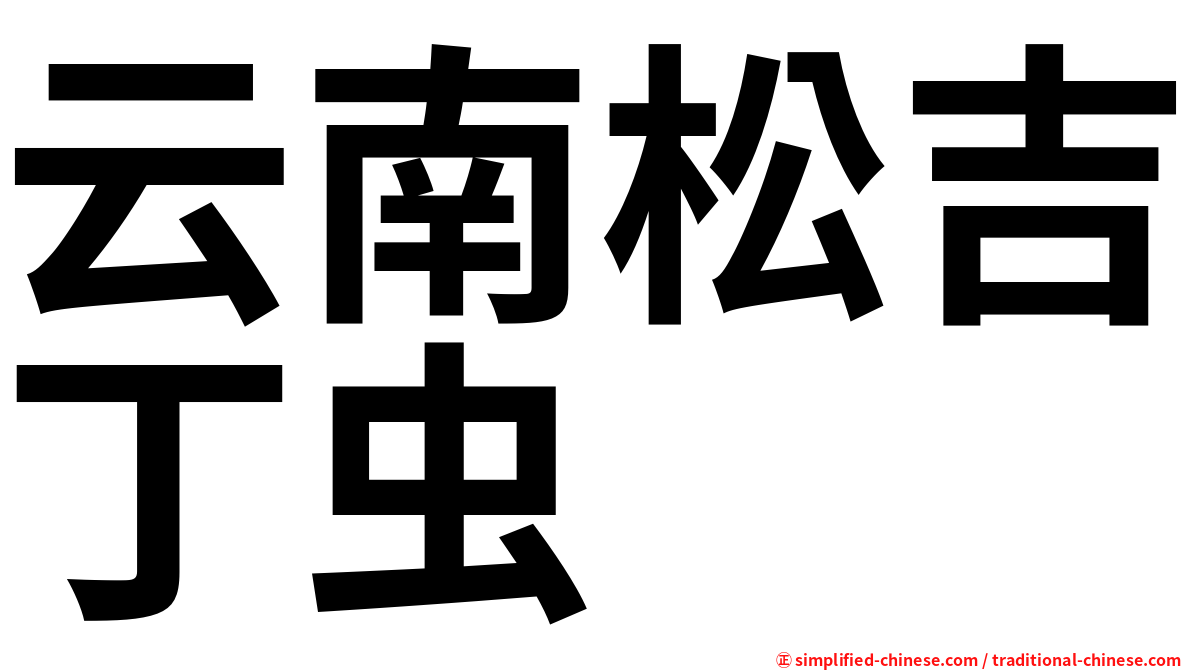 云南松吉丁虫