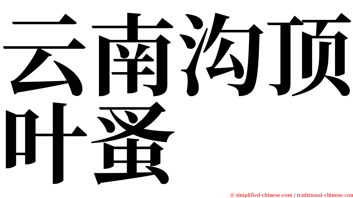 云南沟顶叶蚤 serif font