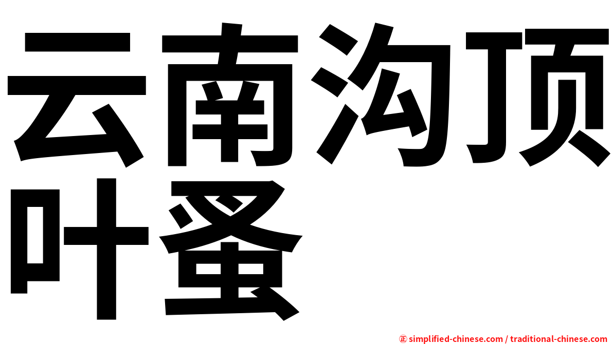 云南沟顶叶蚤
