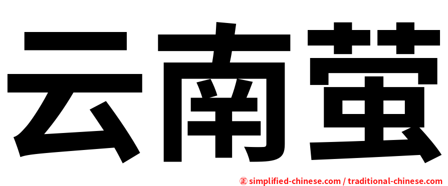 云南萤