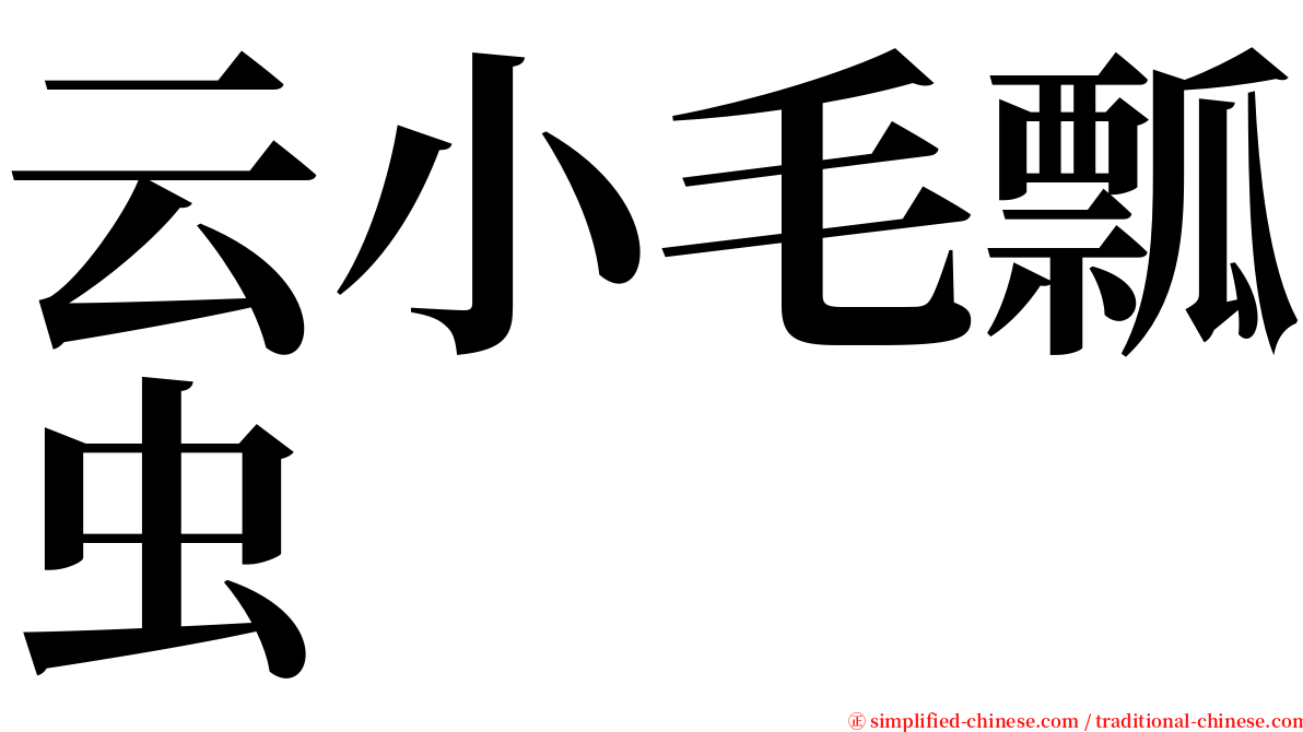 云小毛瓢虫 serif font