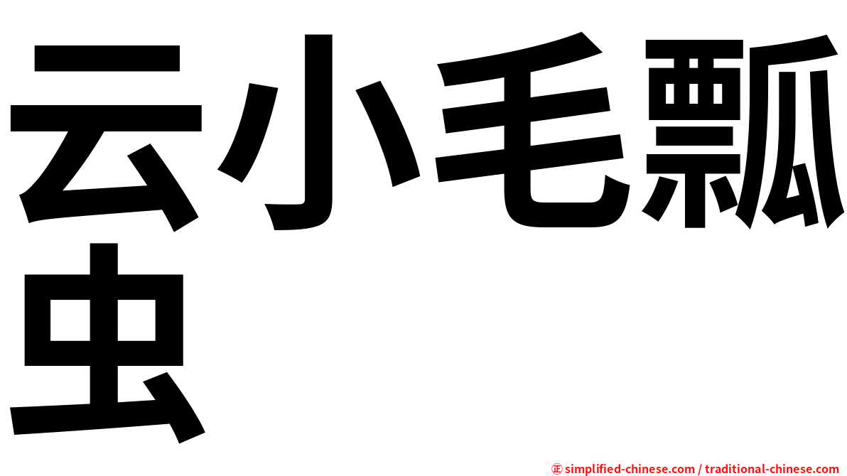 云小毛瓢虫