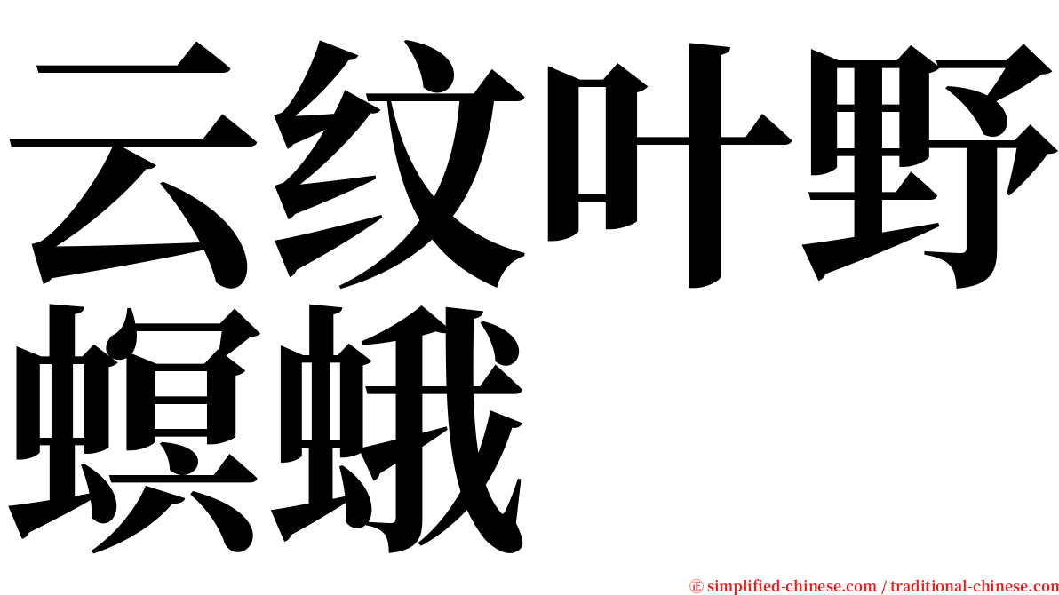 云纹叶野螟蛾 serif font