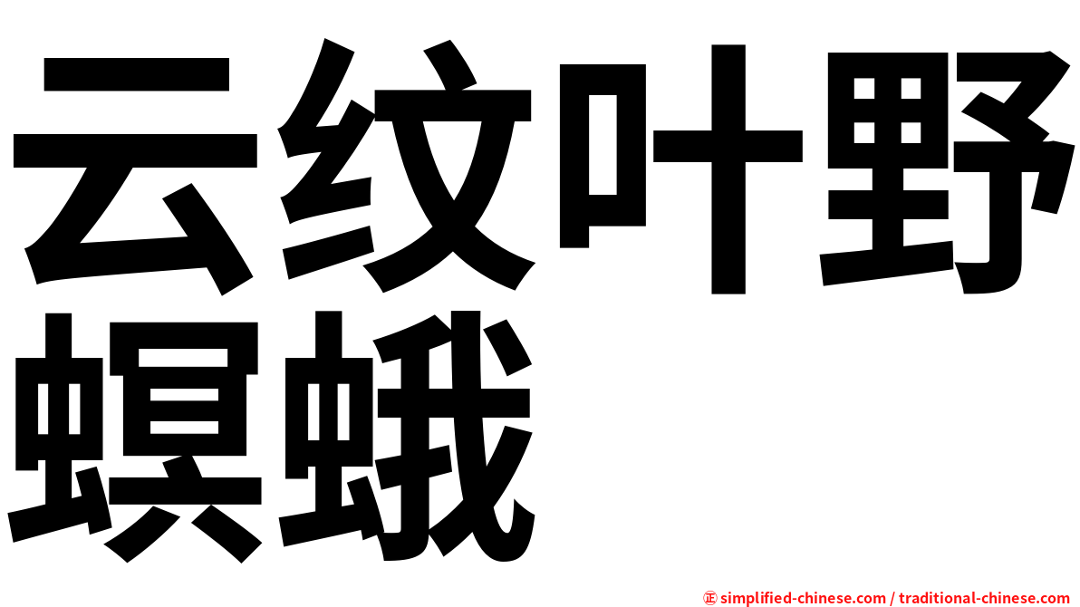 云纹叶野螟蛾