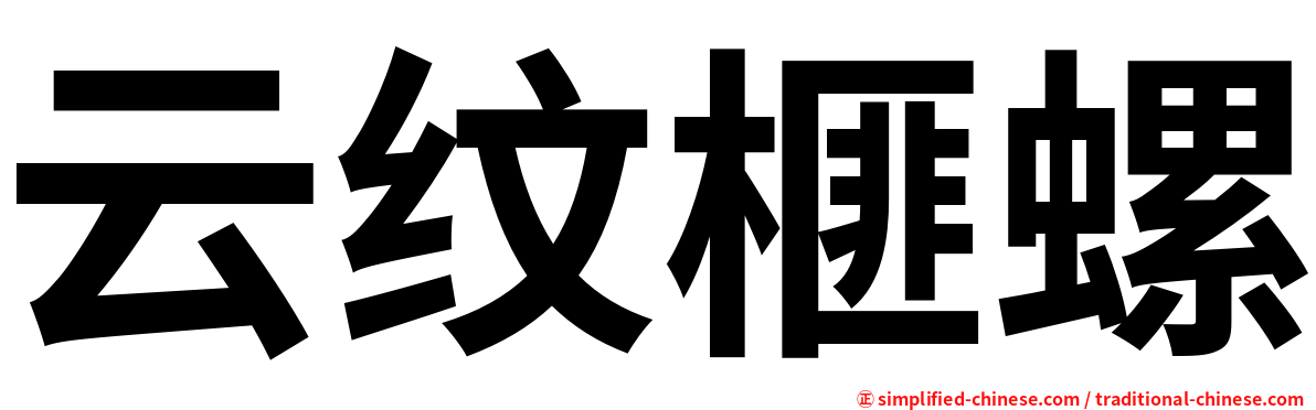 云纹榧螺