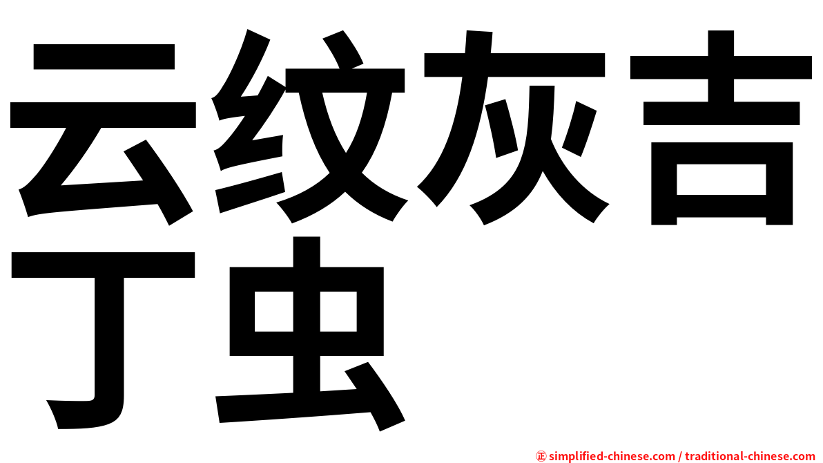 云纹灰吉丁虫
