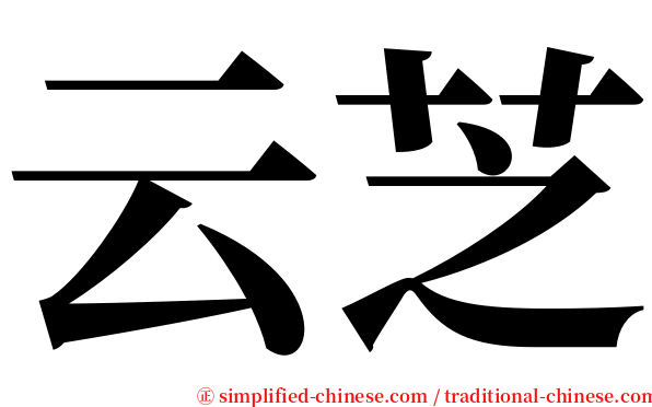 云芝 serif font