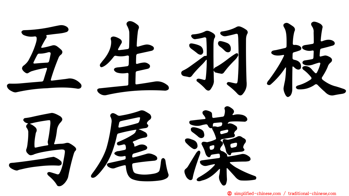 互生羽枝马尾藻
