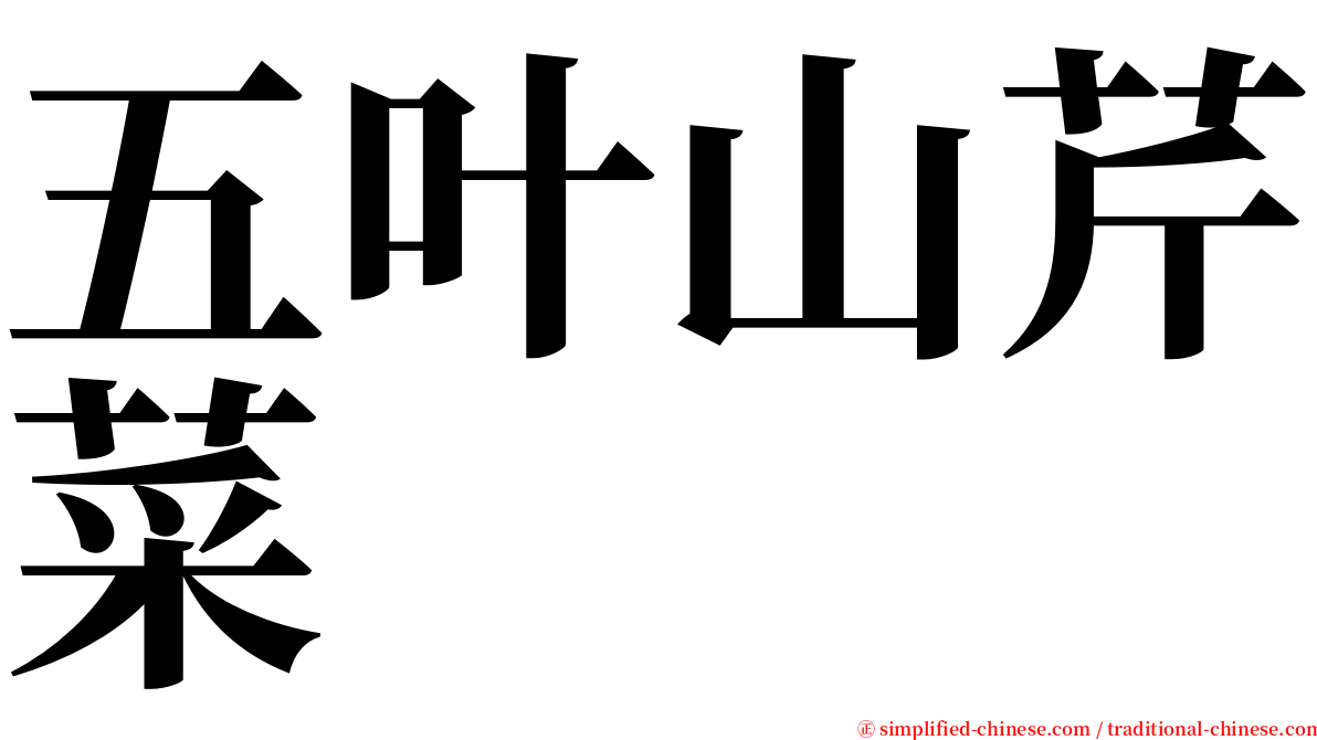 五叶山芹菜 serif font