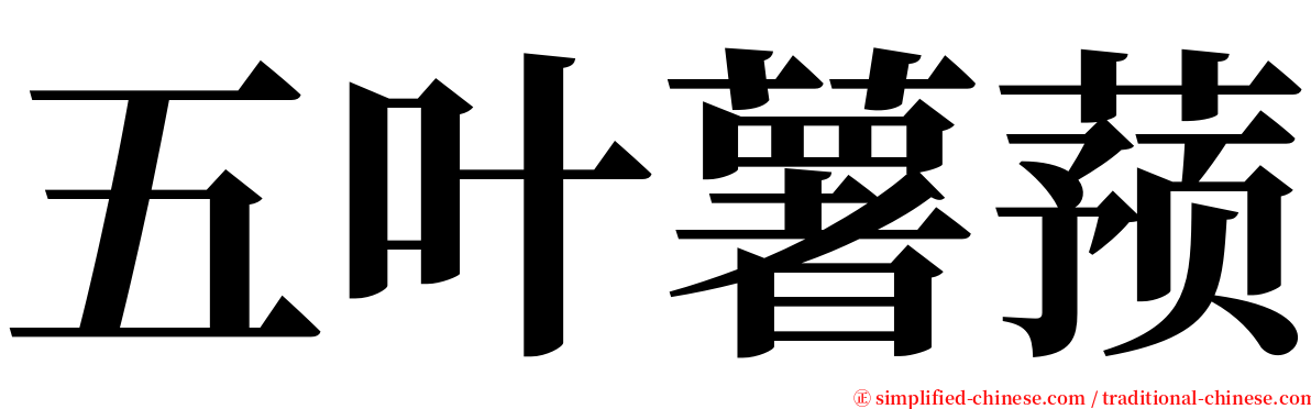 五叶薯蓣 serif font