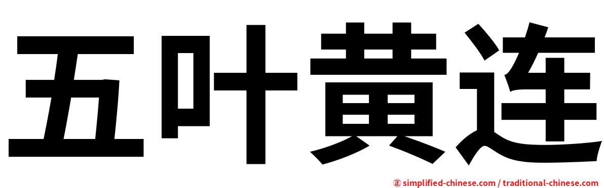 五叶黄连