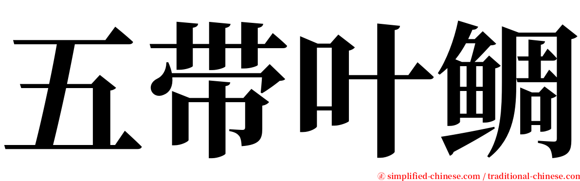 五带叶鲷 serif font