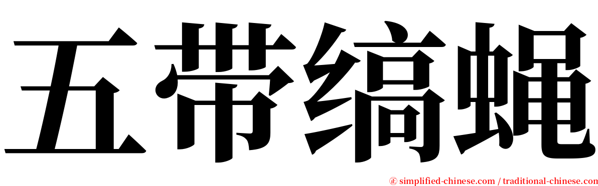 五带缟蝇 serif font