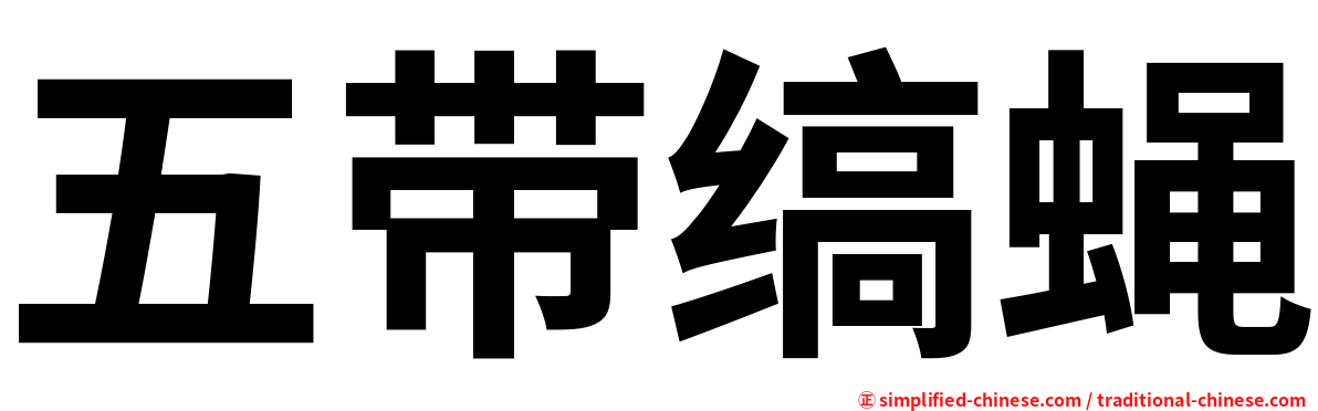 五带缟蝇