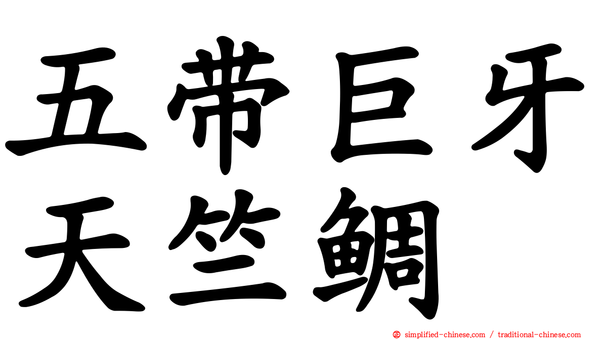 五带巨牙天竺鲷