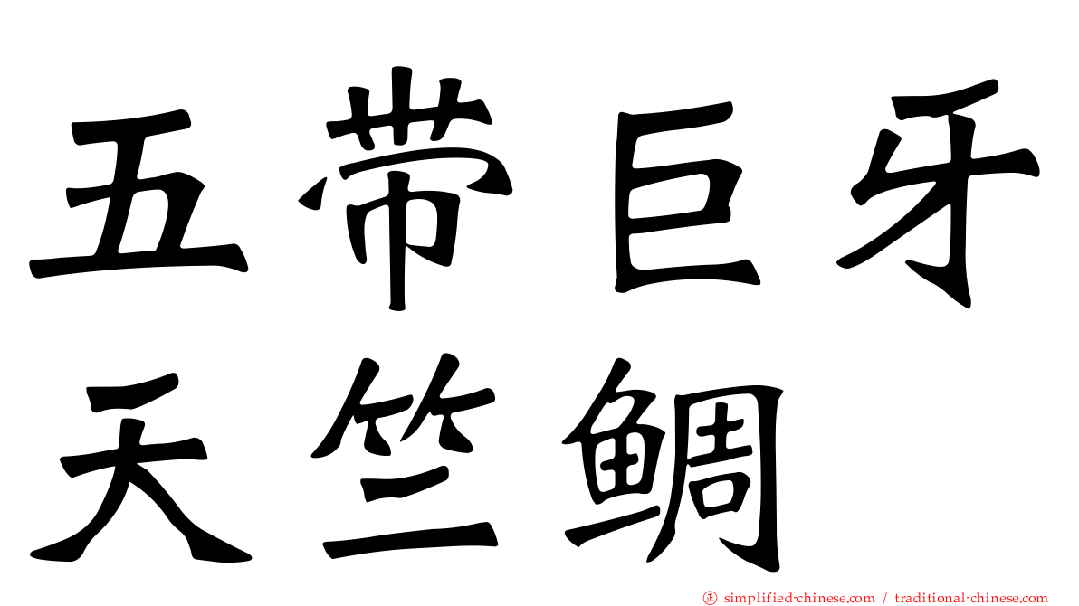 五带巨牙天竺鲷