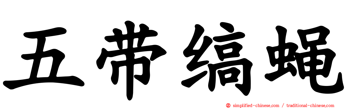五带缟蝇