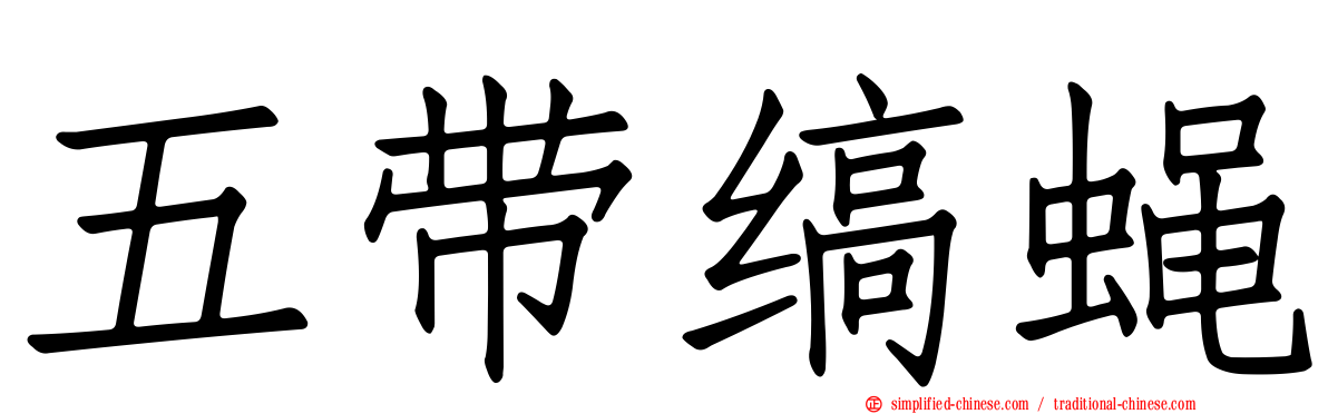 五带缟蝇