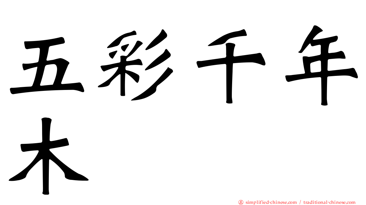 五彩千年木