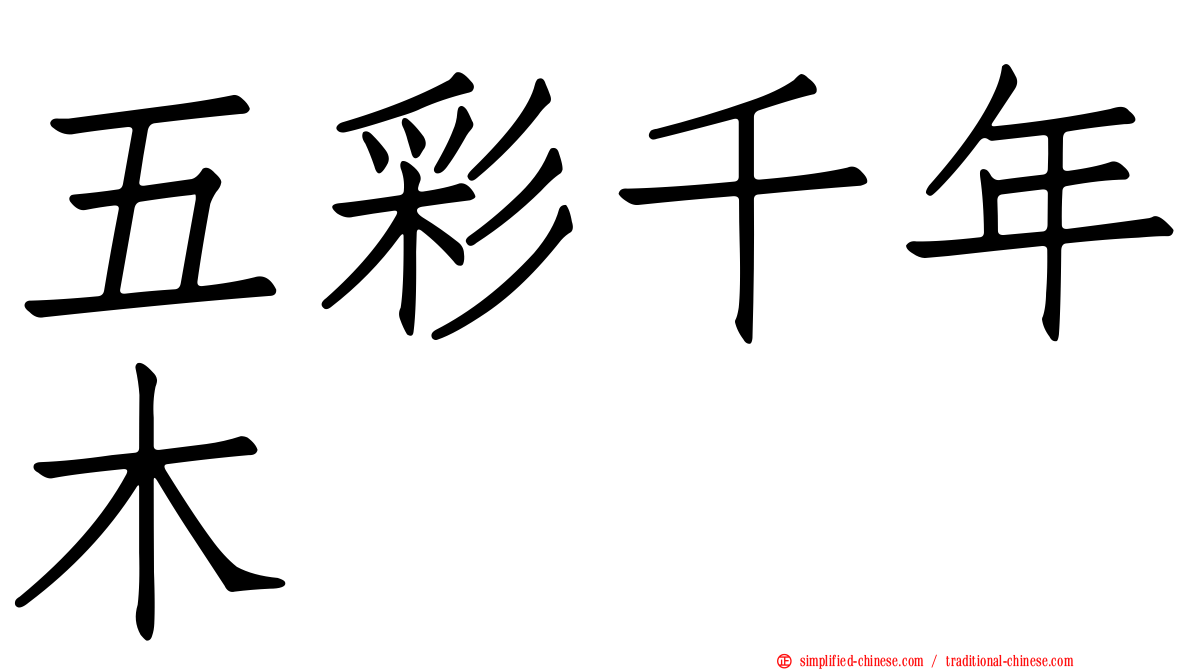 五彩千年木