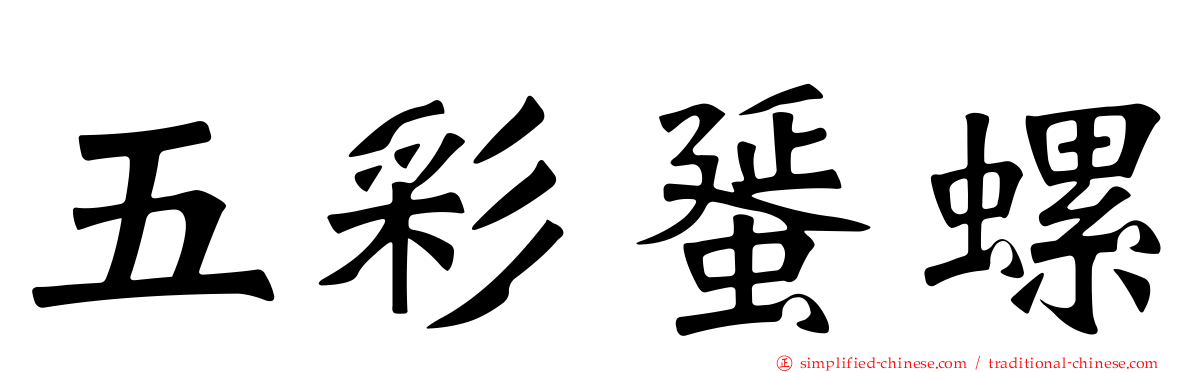 五彩蜑螺
