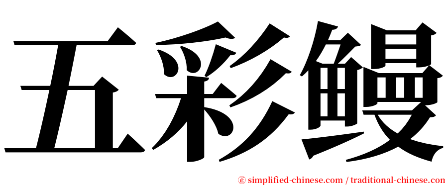 五彩鳗 serif font