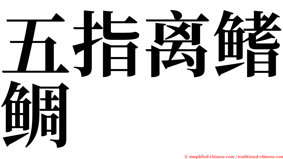 五指离鳍鲷 serif font