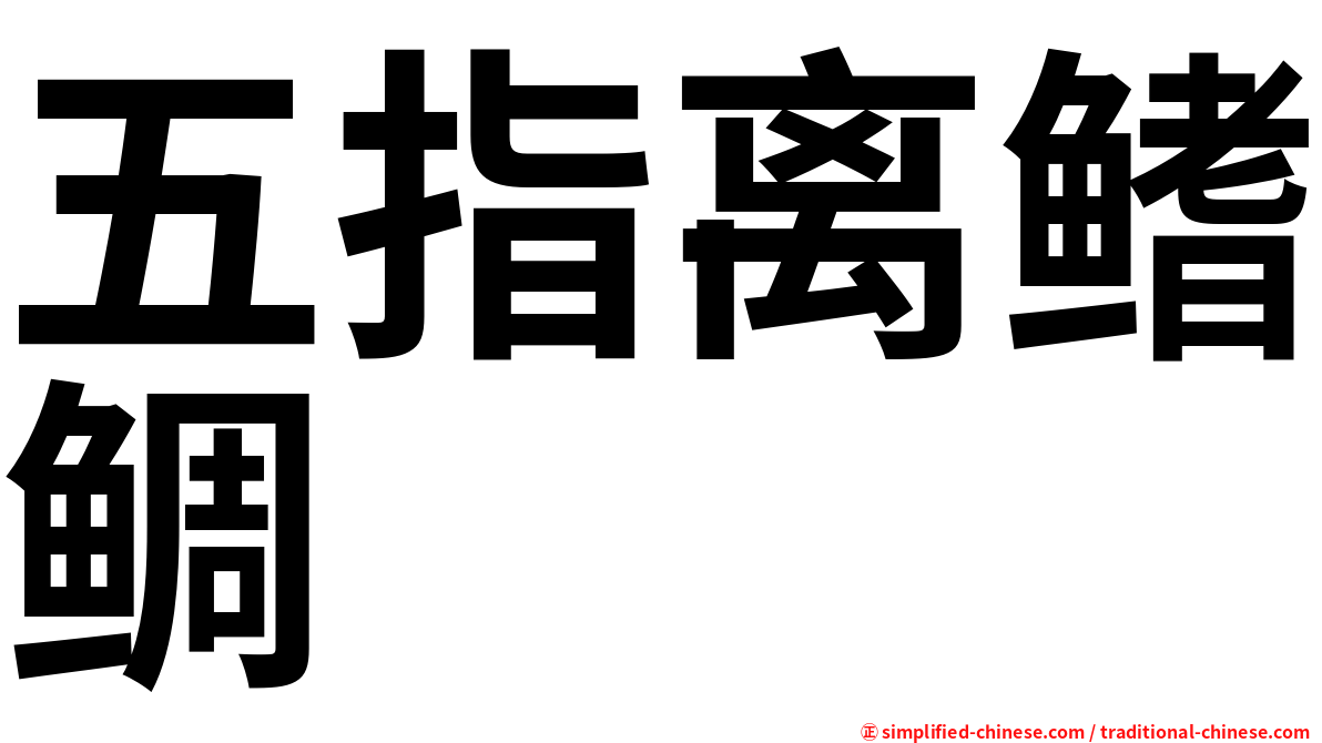 五指离鳍鲷