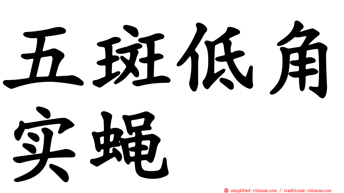 五斑低角实蝇