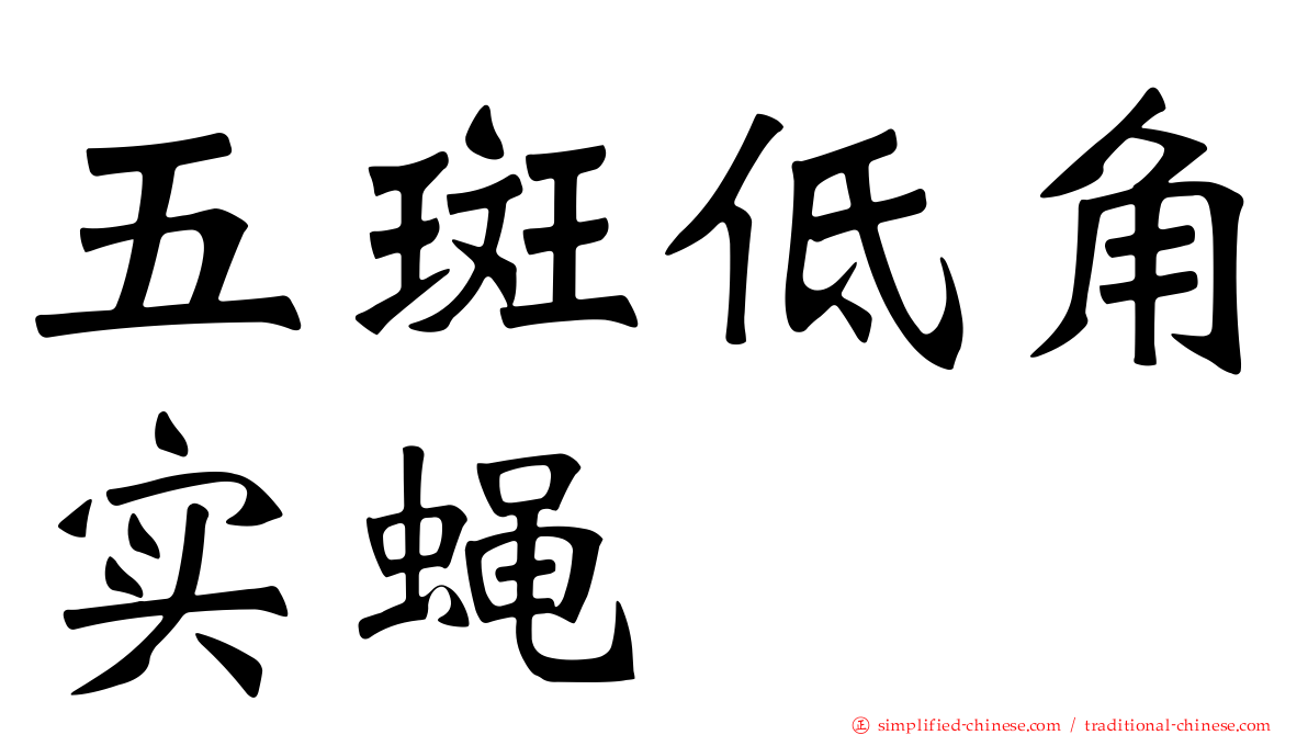 五斑低角实蝇