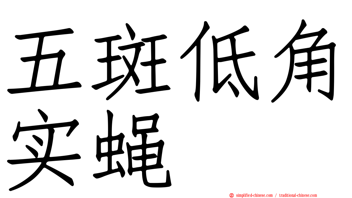 五斑低角实蝇