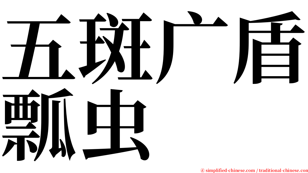 五斑广盾瓢虫 serif font