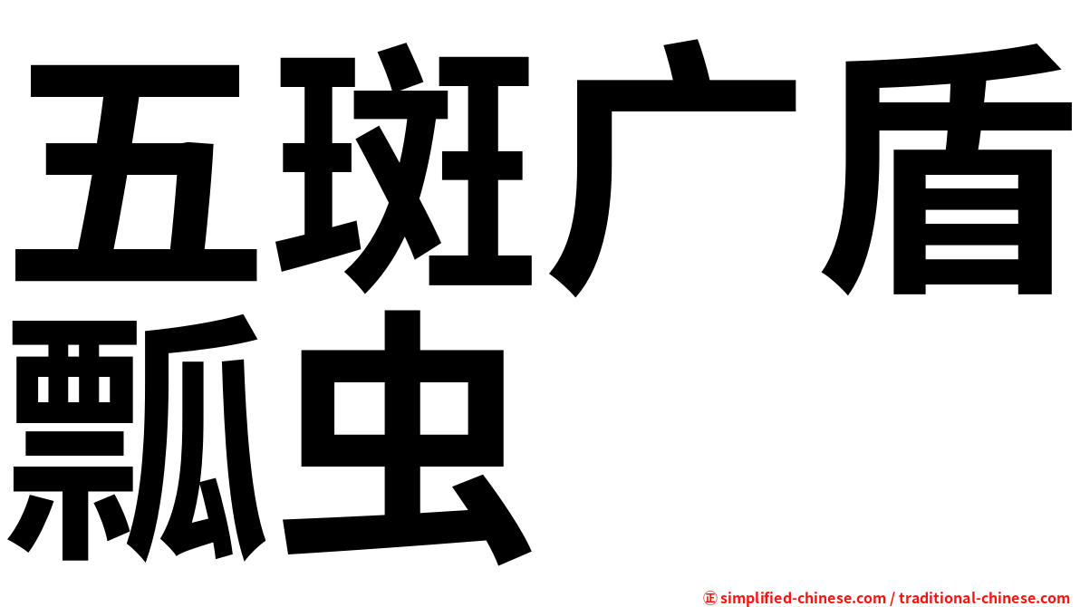 五斑广盾瓢虫