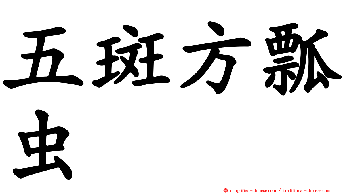 五斑方瓢虫