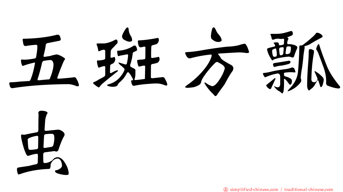 五斑方瓢虫